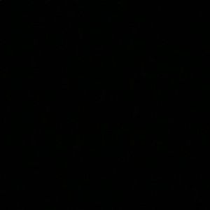 Meet your Posher, Katrina